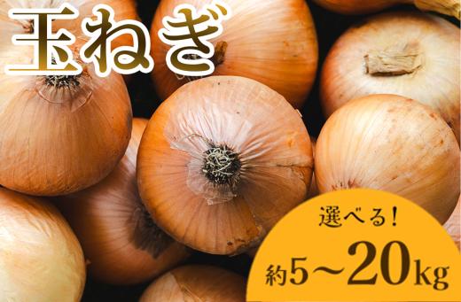 
玉ねぎ 5kg 7kg 10kg 15kg 20kg 玉葱 訳あり 家庭用 先行予約 野菜 高知 大小混合 - 香南市産 国産 たまねぎ タマネギ 玉葱 野菜 オニオンスープ ハンバーグ 常備野菜 保存野菜 香南くろしお園 高知県 香南市 Tke-0010
