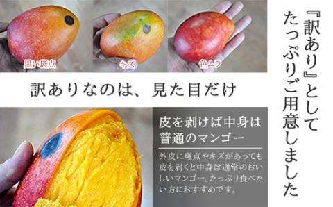 【先行受付】訳あり 沖縄マンゴー（石垣島産）2kg ときわマンゴー農園【2024年7月～8月中旬に順次発送予定】TK-2-1