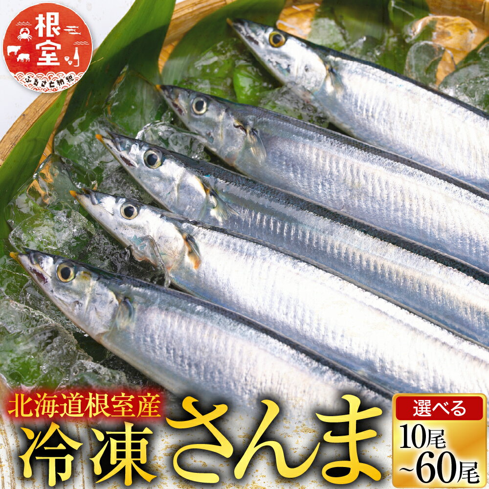 【ふるさと納税】＜年内配送可＞ [北海道根室産] 冷凍さんま 10 尾 〜 60 尾 サンマ 秋刀魚 冷凍生さんま 魚 サカナ さかな お取り寄せ グルメ 海鮮 北海道 根室市 ふるさと納税