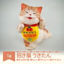 【ふるさと納税】招き猫「うきたん」山形バージョン 誕生日招き猫 もりわじん作 工芸品 陶器 人形 オブジェ 置物 ギフト プレゼント mw-kgmnu