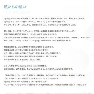 大輪胡蝶蘭 白 2本立ち　F18　綾羽株式会社