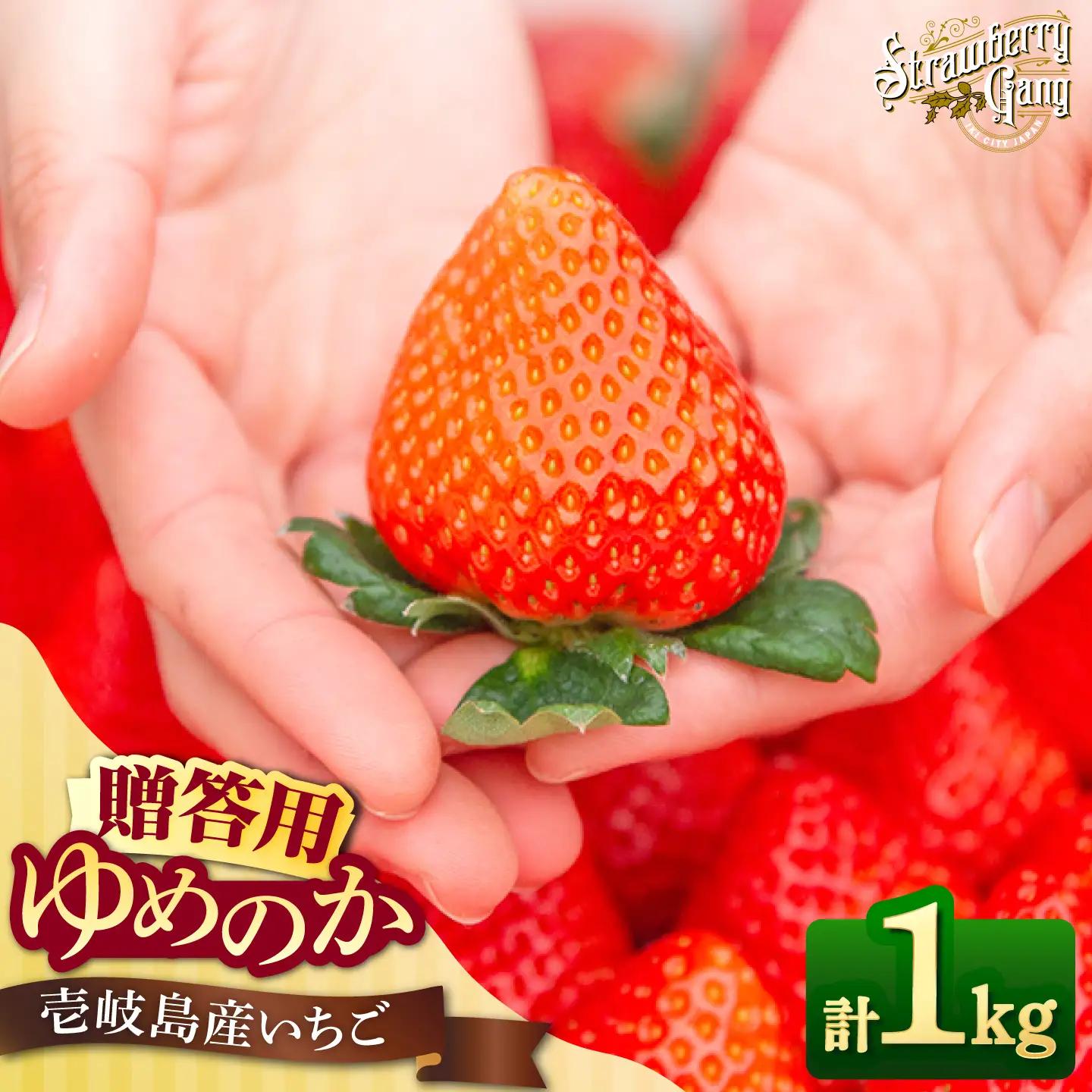 【先行予約】ゆめのか 1kg （約250g×4パック）【2027年1月以降順次発送】[JEM001] いちご 苺