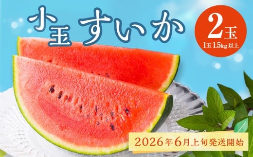 熊本県産 小玉すいか 2玉 スイカ 果物 フルーツ くだもの 西瓜【2026年6月上旬～6月下旬迄順次発送予定】