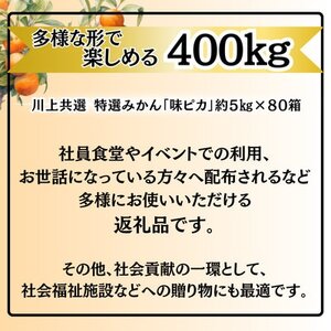 特選みかん「味ピカ」計400kg(約5kg×80箱)【H08-85】【1510465】