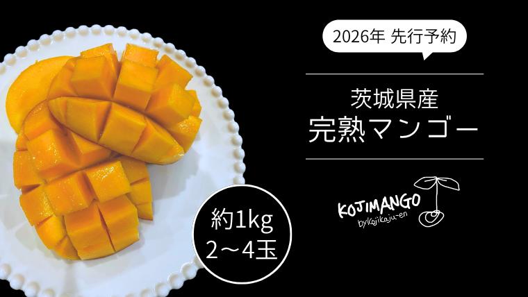 
            【 先行予約 2026年8月中旬順次発送】 完熟マンゴー 約 1kg ( 2～4玉 ) アーウィン マンゴー 茨城県 八千代町 [CX005ya]
          