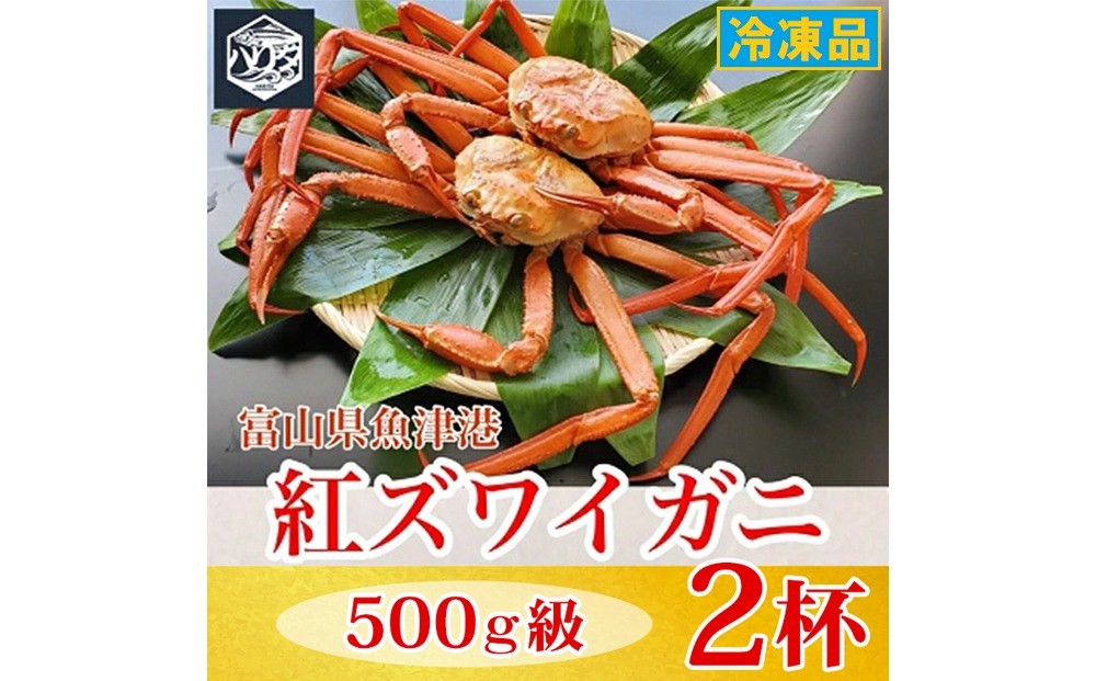 
                  【冷凍】自社漁船直送！魚卸問屋の紅ズワイガニ 500g級×2ハイセット ※2026年9月～発送
                