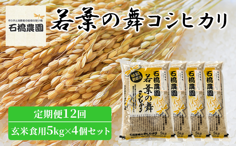 
米 若葉の舞 コシヒカリ 玄米食用5Kg×4個セット 定期便12回 こしひかり セット 定期便 お米 玄米 千葉 千葉県 低温保存 [№5346-0884]
