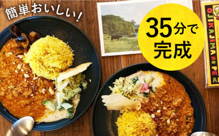 島のピーナッツカレー スパイスキット 4セット カレー カレー セット ピーナッツ [DAA022] 落花生 ピーナッツ