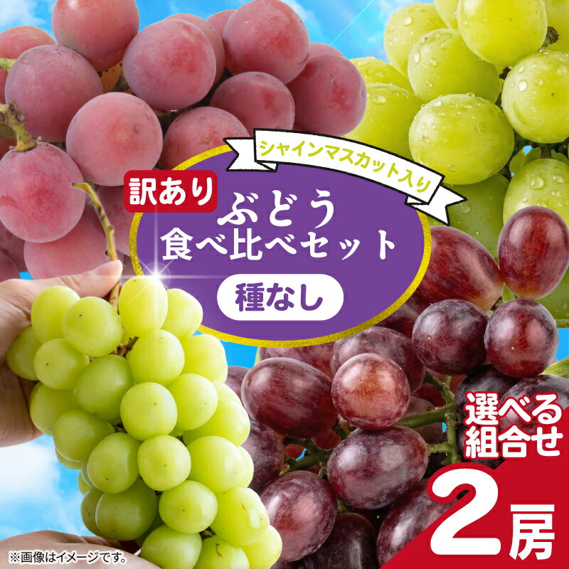 【ふるさと納税】 訳あり シャインマスカット × ぶどう 1種 （ 種なし ） 1房 450g 以上 【選べる内容】 シャインマスカット × クイーンニーナ ・ マスカサーティーン ・ マスカットノワール ふるさと納税 送料無料 銚子市 加瀬農園【8月中旬～9月中旬に順次発送予定】