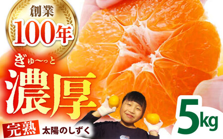 ＜先行予約＞【11月?12月発送】タッチの甘熟 早生みかん 太陽のしずく 5kg【夢の甘熟みかん タッチ】[HCE001]フルーツ 佐賀みかん 温州みかん みかん 早生みかん 年内発送