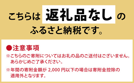 【返礼品なし】美しい海と山のまち　高浜町へのふるさと納税 応援寄附金 
