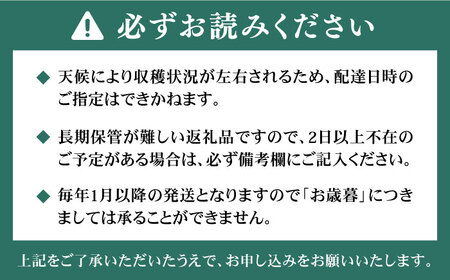 【先行予約】【その日一番のあまおうを即日出荷！】 本格 あまおう ( 285g × 2パック) 【2026年1月以降順次発送】いちご 苺 糸島市 / みのりのりん [ABD002] ランキング 上位 