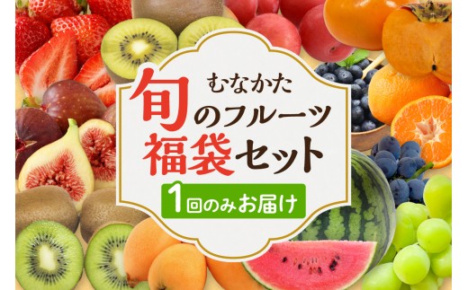 【7月～9月発送】むなかた旬のフルーツ福袋セット【JAほたるの里】_AS1541-3S-00