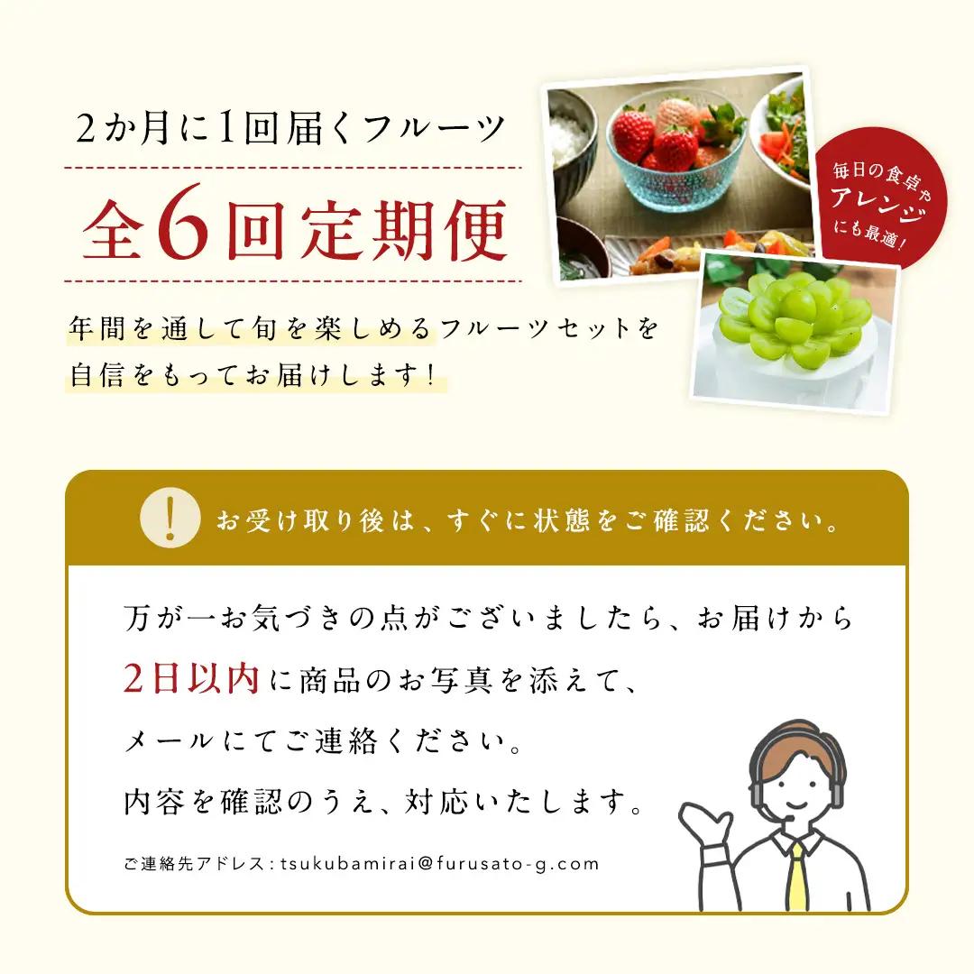 【定期便】 旬のフルーツはこれだっぺ セット 隔月コース（ 計6回 ） 果物 詰め合わせ