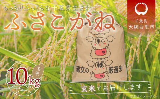 【新米】令和6年産 千葉県産「ふさこがね」玄米10kg（10kg×1袋） ふるさと納税 玄米 10kg 千葉県産 大網白里市 ふさこがね 米 こめ 送料無料