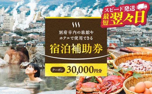 【30,000円分】【最短2営業日以内発送】別府市内の旅館やホテルで使用できる宿泊補助券　楽しい旅の思い出を！ 宿泊券 大分県 別府市 3000円 15000円 3万円 9万円 15万円 30万円 ホテル 旅館 温泉 旅行 観光 トラベル 宿泊補助券 チケット クーポン 宿泊 お泊り 別府温泉 別府観光 地獄めぐり 旅 おすすめ 人気 体験型 節約