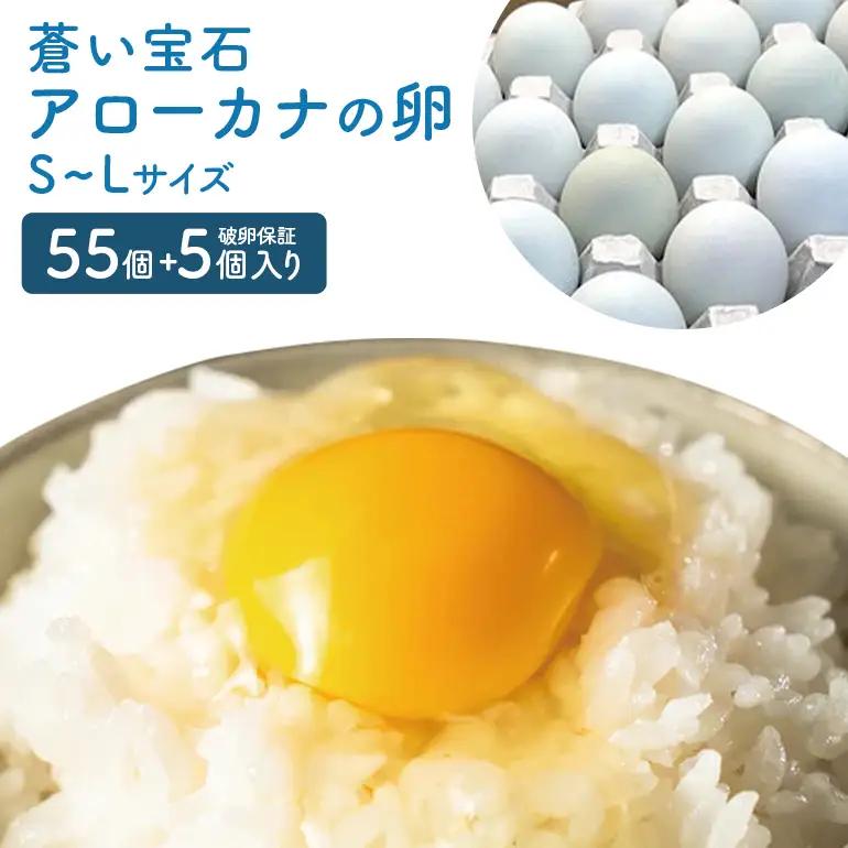 はっこう卵 アローカナ S~L サイズ 55個 +破卵保障5個 卵 サイズ おまかせ 青卵 鶏卵 たまご タマゴ 優良醗酵飼料 おいしい 生卵 味卵 煮卵 目玉焼き ゆで卵 キッシュ 朝食 沖縄 産地直送 上原養鶏場 沖縄県 糸満市 115-3