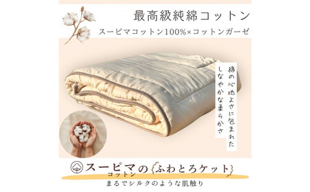 最高級純コットン スーピマコットンのふわとろケット　0.5kg