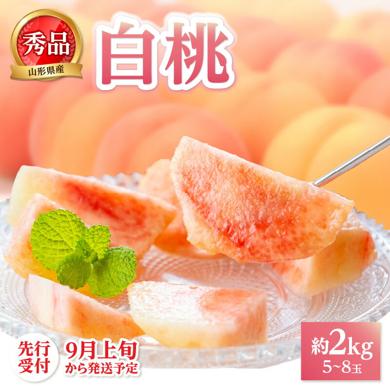 【ふるさと納税】《先行受付》★白桃（品種おまかせ）★ 約2kg(5～8玉) 秀品 【2025年9月上旬頃～発送予定】 レビューキャンペーン