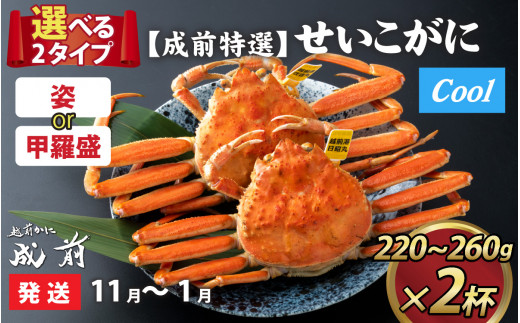 【先行予約】選べる！美味しさ直送【成前特選】 せいこがに（220g～260g）×2杯 【11月～1月発送】甲羅盛  [E-028045_07]