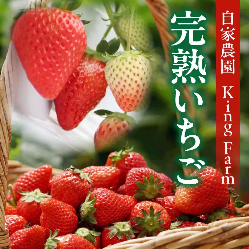 ソフトバウム　いちご・K312