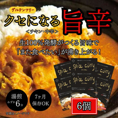 【ふるさと納税】発酵スパイスカレー6個 ★5種のスパイスと白山麓のW発酵 芳醇な香り&クセになる旨辛 グルテンフリー【配送不可地域：離島】【1376653】