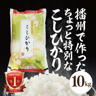 ふるさと納税 西脇市 兵庫県産【コシヒカリ】令和7年産・ 白米　10kg (10kg×1袋)