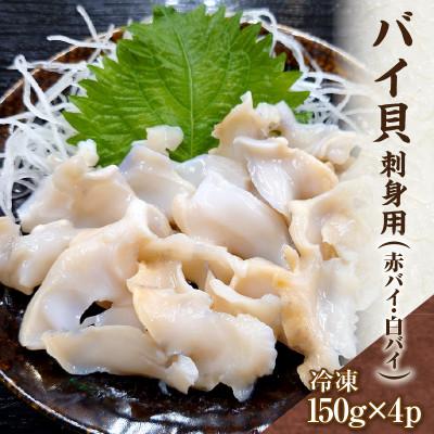 ふるさと納税 香美町 バイ貝 刺身用 冷凍 兵庫県香住産 約600g(令和7年9月中旬以降お届け)