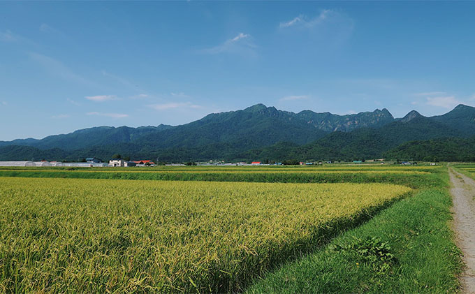 【令和7年度】北海道 富良野産 ゆめぴりか 減農薬 10kg 米 (
