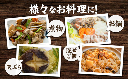 「訳あり」生しいたけ　200g×3袋(サイズ混合) 《90日以内に出荷予定(土日祝除く)》　【配送不可地域あり】　