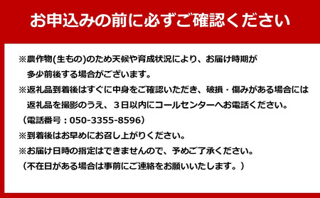 【全3回】さぬき市厳選フルーツ定期便