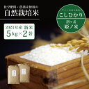 【ふるさと納税】割ケ岳　姫乃米10kg（信濃町精米令和6年度産コシヒカリ5kg2袋）　新米【長野県信濃町】