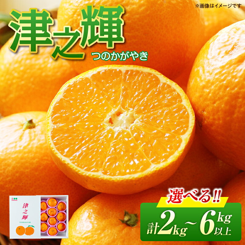 【ふるさと納税】≪内容量が選べる≫ 先行予約 津之輝 つのかがやき 2kg 4kg 6kg 希少 L ～ 4L フルーツ 果物 くだもの 柑橘 みかん ミカン 蜜柑 2027年 令和9年発送 国産 食品 おすすめ デザート おやつ みかんジュース ギフト 贈り物 おすそ分け 宮崎県 日南市 送料無料