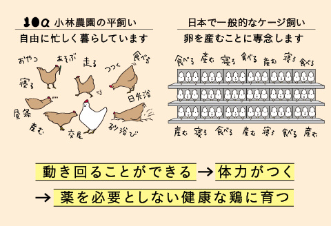 3ヵ月定期便！無投薬・自然養鶏・平飼い卵 毎月２５個×３ヵ月お届け