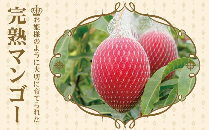 完熟プレミアム プリンセス マンゴー 不揃い 約1kg