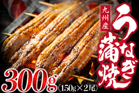 ＜いろは＞うなぎ蒲焼 国産 150g × 2尾 (有頭) 　[M685-2] ウナギ 鰻 炭火焼き ふっくら 肉厚 うな重 ランキング 土用の丑の日 鹿児島県 人気 オススメ 宮若市