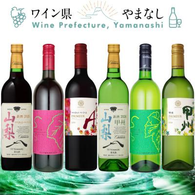 ふるさと納税 山梨県 山梨の新酒 2026 飲み比べ 6本セット