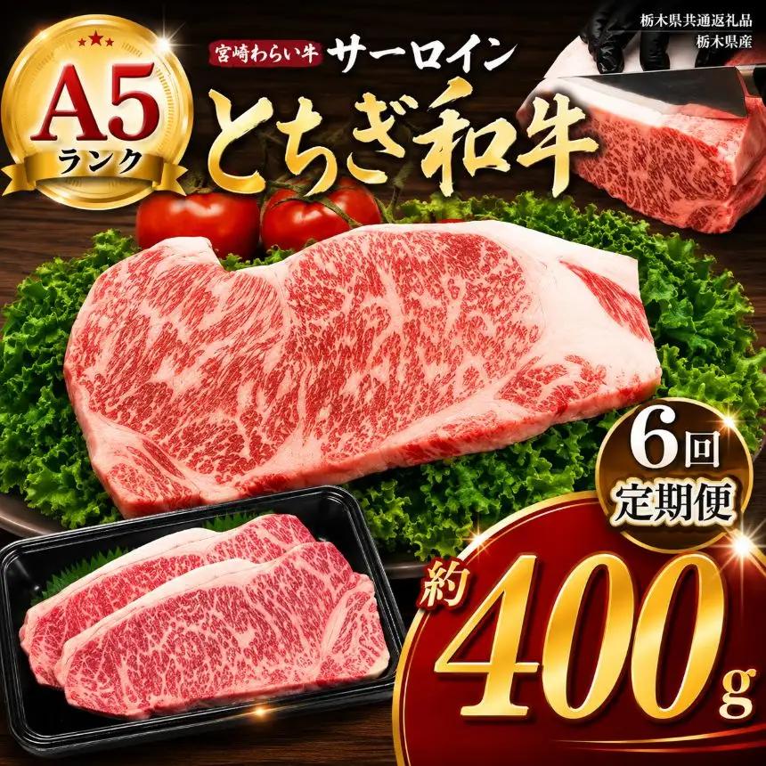 【定期6回】宮福笑牛（とちぎ和牛） A5 サーロインステーキ　約200g×2【栃木県共通返礼品】枚