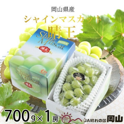 【2026年8月下旬より順次発送】岡山県産　シャインマスカット　晴王　700g×1房【配送不可地域：離島・北海道・沖縄】【1366085】