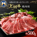 【ふるさと納税】牛肉 焼肉 上州牛 国産 肩ロース 500gブランド牛 バーベキュー BBQ 食品 冷凍 グルメ キャンプ ソロキャン アウトドア 送料無料 お取り寄せ ギフト 贈り物 贈答用 プレゼント おすすめ コロナ