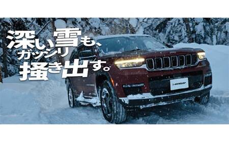 ダンロップタイヤスタッドレス　WINTER MAXX SJ8+ 225/65R17 02Q 4本セット ダンロップ タイヤ 車 くるま クルマ SUV 福島県 白河市 ふるさと納税 F24R-157