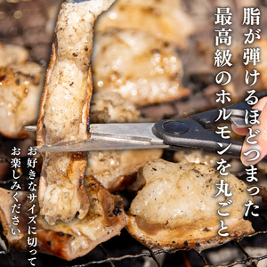 近江牛 ホルモン 1.2kg カットなし