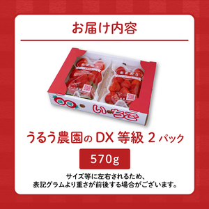 【2026年11月より順次発送】うるう農園のあまおうDX等級 2パック（570g）_ いちご あまおう フルーツ 果物 〔Fi007〕