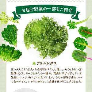 ココワークの水耕栽培野菜 約500g ゆず人参ドレッシング セット 