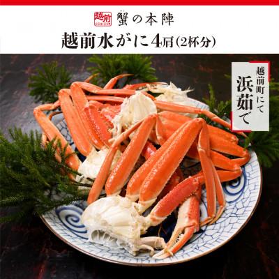 ふるさと納税 越前町 越前水がに　浜ゆで　4肩 (2杯分)セット　2026年2月〜3月順次発送