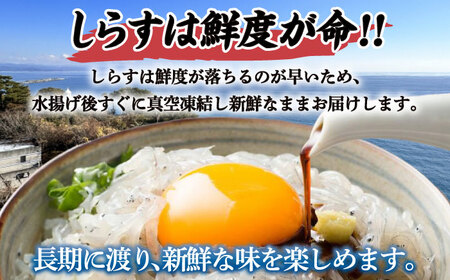 高知産「生シラス」イワシ稚魚100g×5パック入り (タレ付) [ATBX003]