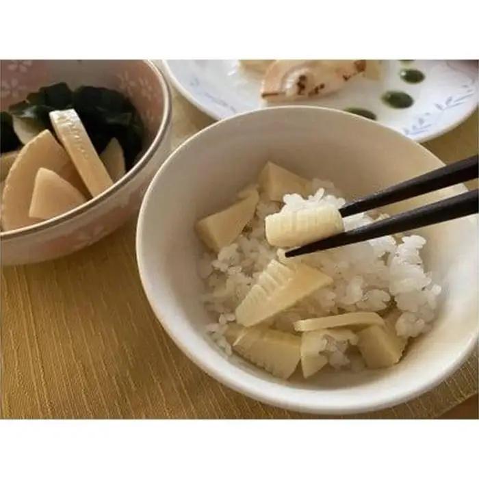 ＜先行予約／令和9年(2027年)３月下旬頃から発送＞貝塚市木積産　朝掘り筍　約2kg