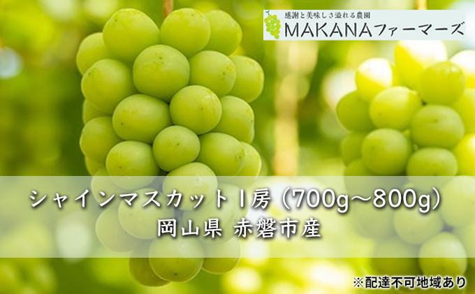 
ぶどう 2024年 先行予約 シャイン マスカット 1房 700g～800g 大粒 種無し ブドウ 葡萄 岡山県 赤磐市産 国産 フルーツ 果物 ギフト MAKANAファーマーズ
