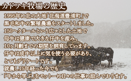 北海道 黒毛和牛 カドワキ牛 モモ スライス 1.05～1.1kg【冷凍】