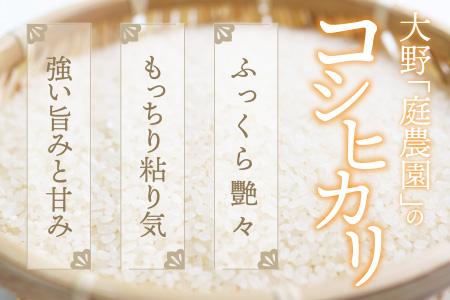 【先行予約】【令和7年産 新米】【3ヶ月定期便】越前大野産 エコファーマー認定農家栽培こしひかり 白米 10kg × 3回 計30kg【2025年10月より順次お届け】